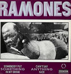 The Ramones : Somebody Put Something in My Drink